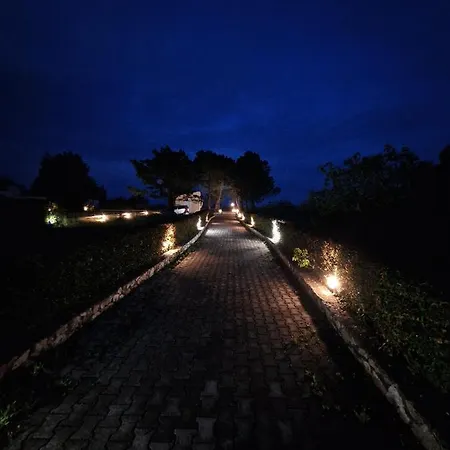 Apartment Alexandra 14 Lefkímmi