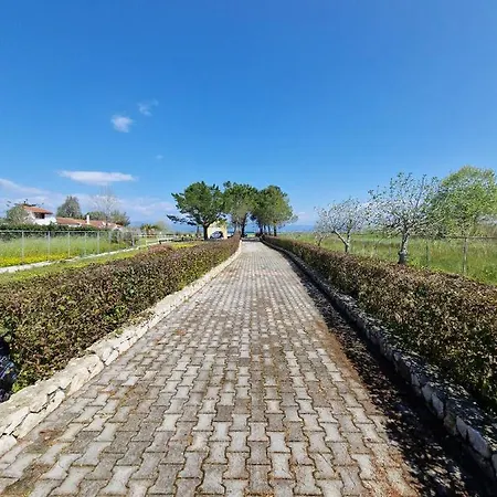 Alexandra 14 Apartment Lefkímmi