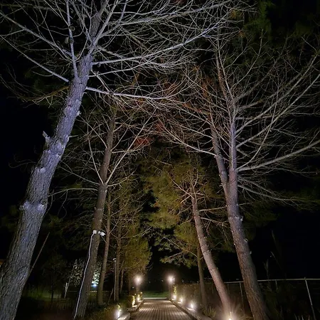 Alexandra 14 Lefkímmi