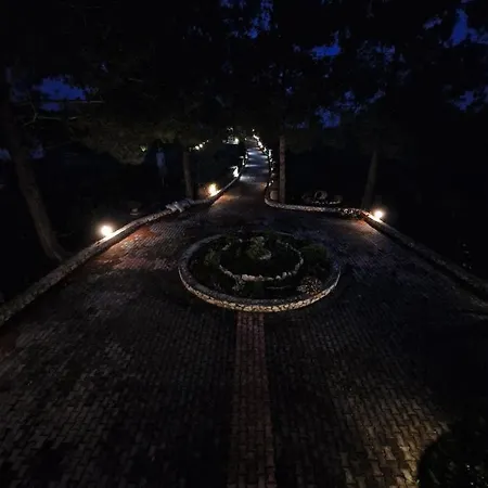 Alexandra 14 Apartamento