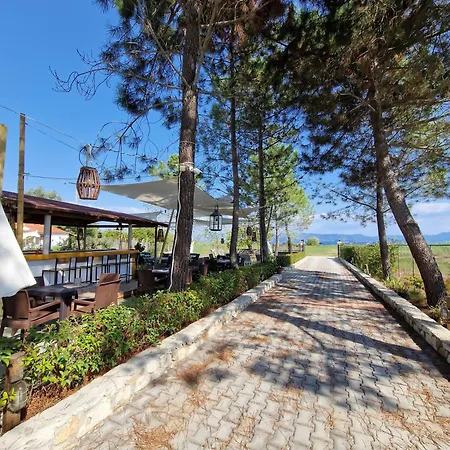 Alexandra 14 Apartamento Lefkimmi (Corfu)